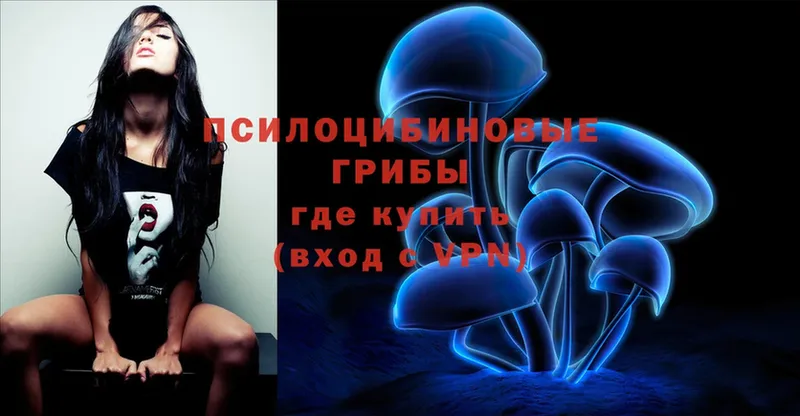 hydra   купить наркотики сайты  Исилькуль  Псилоцибиновые грибы Psilocybe 